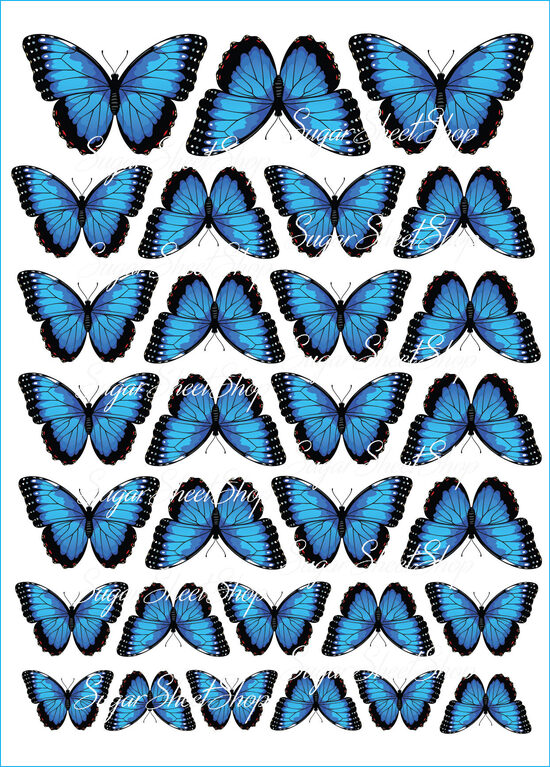 Ēdami dekori TAURIŅI 21 