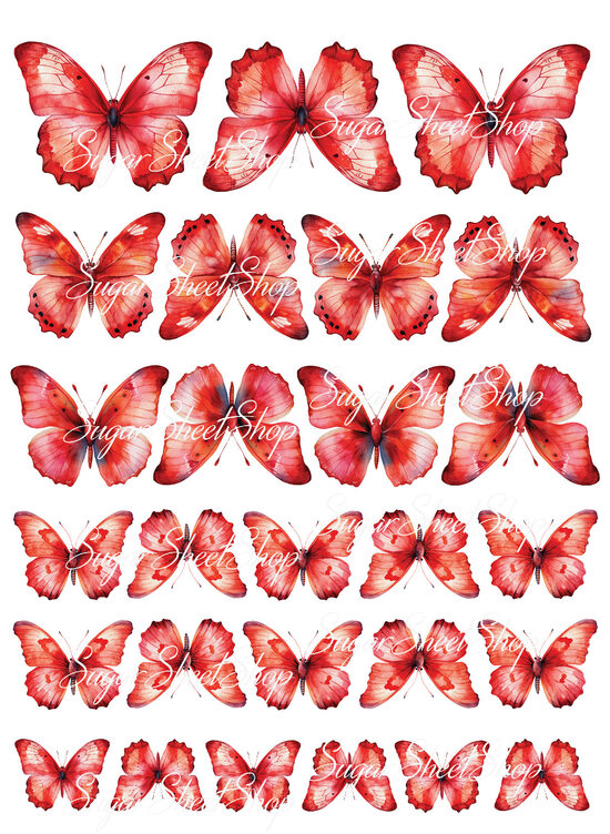 Ēdami dekori TAURIŅI 72