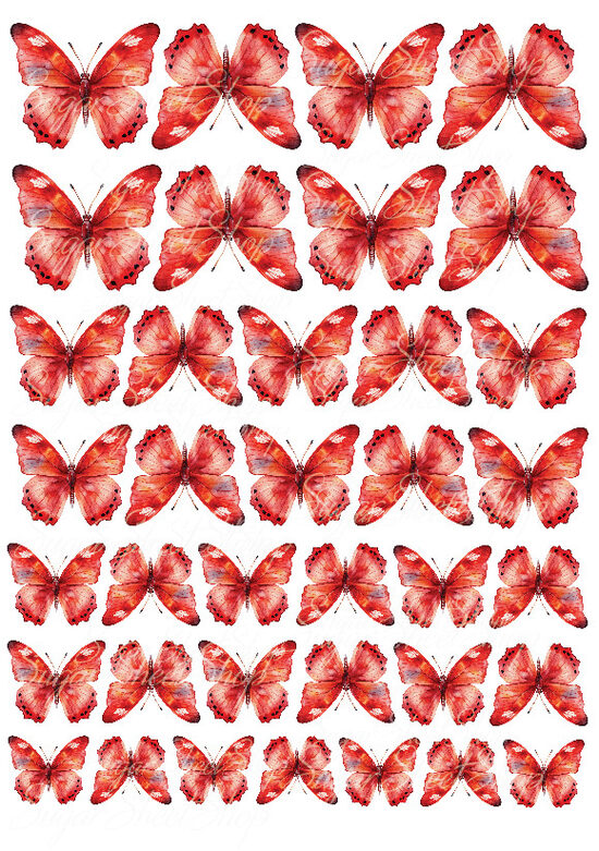 Ēdami dekori TAURIŅI 77