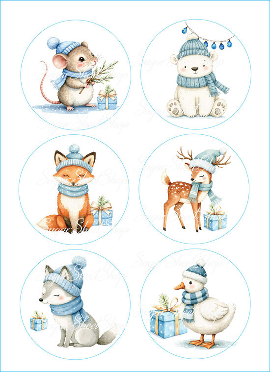 Ēdami dekori PIPARKŪKAS 12