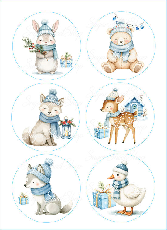 Ēdami dekori PIPARKŪKAS 15