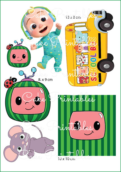 Ēdamu dekoru komplekts COCO MELON 1