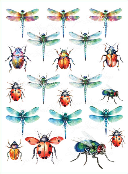 Ēdamu dekoru komplekts KUKAIŅI 1