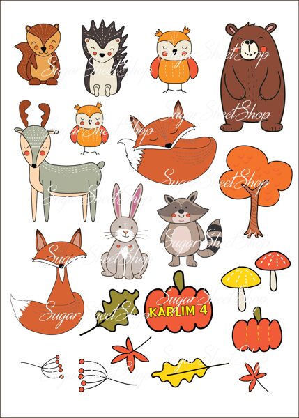 Ēdamu dekoru komplekts MEŽA ZVĒRI 5