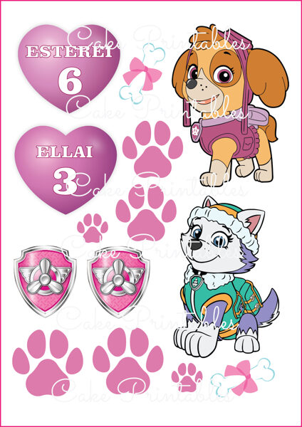 Ēdamu dekoru komplekts ĶEPU PATRUĻA PAW PATROL MEITENES 1