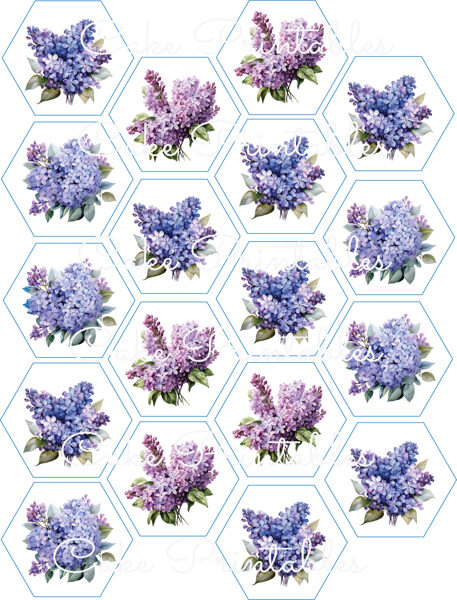 Ēdami dekori virtuļiem, kūciņām MAZAIS CERIŅŠ 1