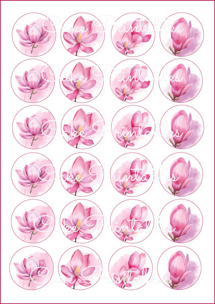 Ēdami dekori virtuļiem, kūciņām MAGNOLIJA 1