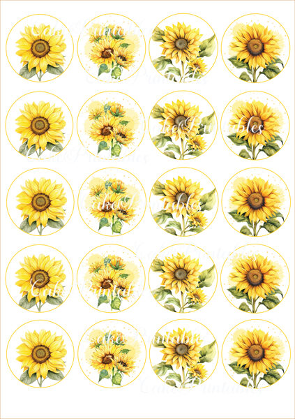 Ēdami dekori virtuļiem, kūciņām SAULESPUĶES 1